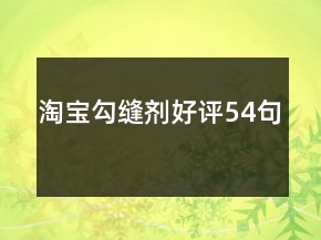 淘寶勾縫劑好評54句
