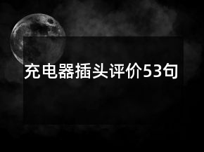 充電器插頭評(píng)價(jià)53句