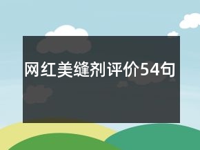 網(wǎng)紅美縫劑評價54句