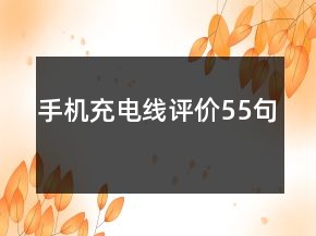 手機(jī)充電線評價55句