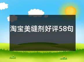 淘寶美縫劑好評58句
