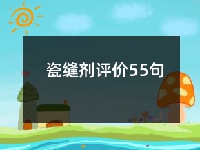 瓷縫劑評(píng)價(jià)55句