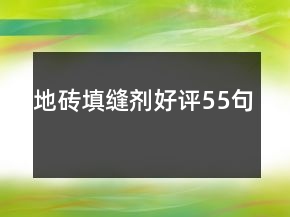 地磚填縫劑好評55句
