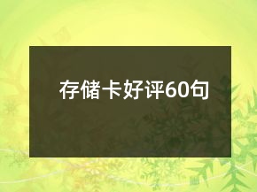 存儲卡好評60句