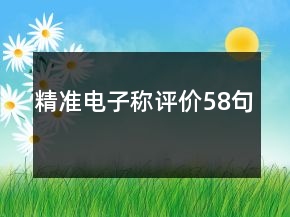 精準(zhǔn)電子稱(chēng)評(píng)價(jià)58句
