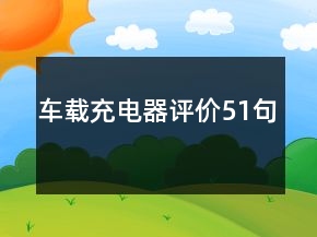 車載充電器評價51句