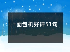 面包機(jī)好評(píng)51句