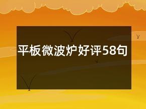 平板微波爐好評58句