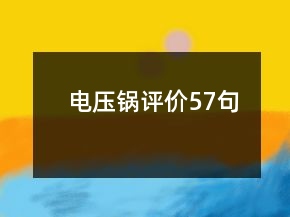 電壓鍋評價57句