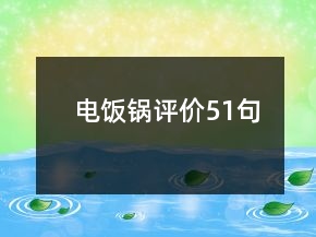 電飯鍋評價51句