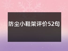 防塵小鞋架評價52句