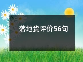 落地貨評價(jià)56句