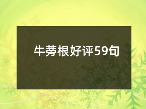 牛蒡根好評(píng)59句
