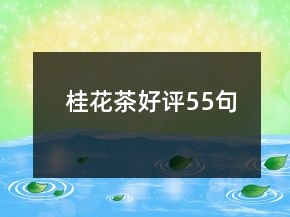 桂花茶好評55句