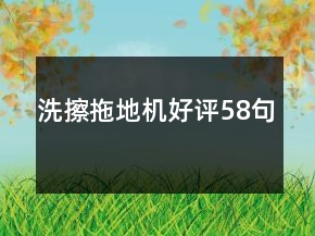 洗擦拖地機(jī)好評(píng)58句