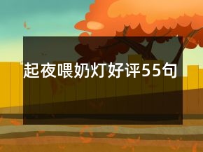 起夜喂奶燈好評(píng)55句