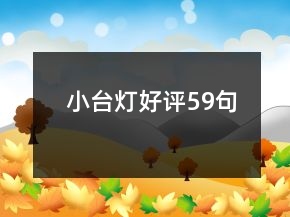 小臺燈好評59句