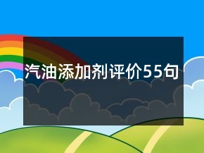 汽油添加劑評價55句