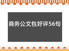 商務(wù)公文包好評56句