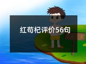 紅茍杞評(píng)價(jià)56句