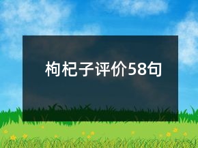 枸杞子評(píng)價(jià)58句