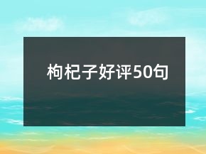 枸杞子好評50句