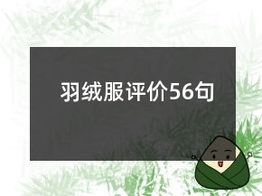 羽絨服評(píng)價(jià)56句