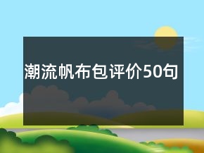 潮流帆布包評(píng)價(jià)50句