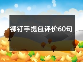 鉚釘手提包評(píng)價(jià)60句