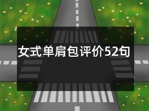 女式單肩包評價52句