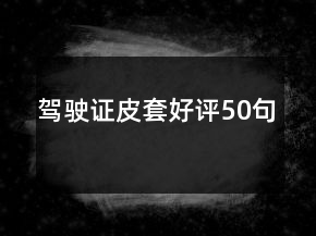 駕駛證皮套好評50句