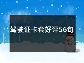 駕駛證卡套好評(píng)56句