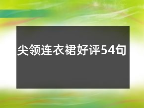 尖領(lǐng)連衣裙好評(píng)54句