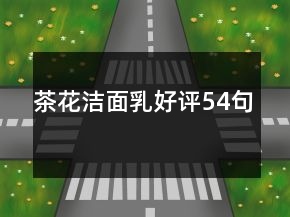 茶花潔面乳好評(píng)54句