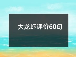 大龍蝦評(píng)價(jià)60句
