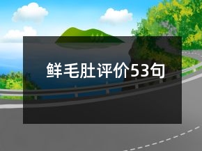 鮮毛肚評(píng)價(jià)53句