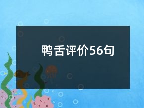 鴨舌評價56句