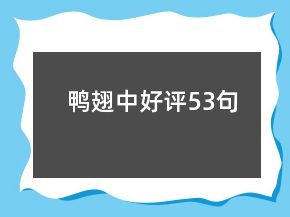 鴨翅中好評(píng)53句