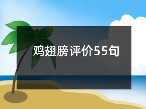 雞翅膀評價55句