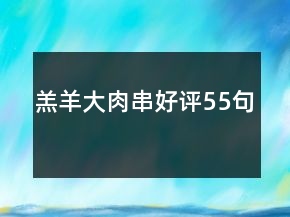 羔羊大肉串好評(píng)55句