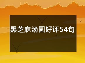 黑芝麻湯圓好評(píng)54句