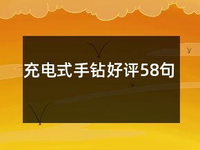 充電式手鉆好評(píng)58句