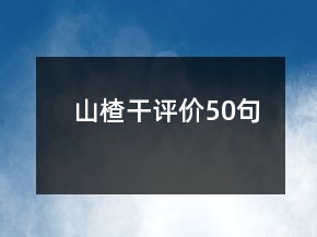 山楂干評價50句