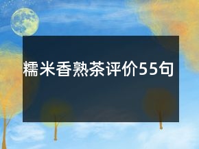 糯米香熟茶評價55句