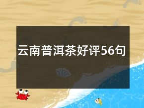 云南普洱茶好評(píng)56句
