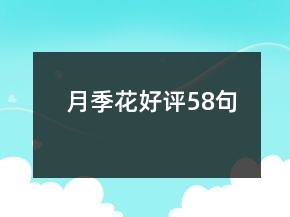 月季花好評58句