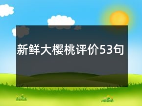 新鮮大櫻桃評價53句