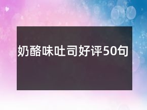奶酪味吐司好評50句