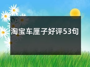 淘寶車?yán)遄雍迷u53句