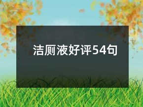潔廁液好評54句